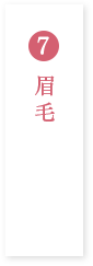 眉毛